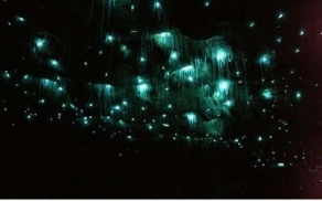 most-amazing-caves-in-the-world-waitomo-glowworm-cave-new-zealand1 (1)